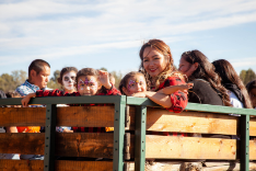 Jack-A-Lope Acres photo