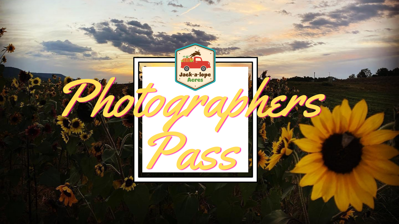 Photographers Pass
