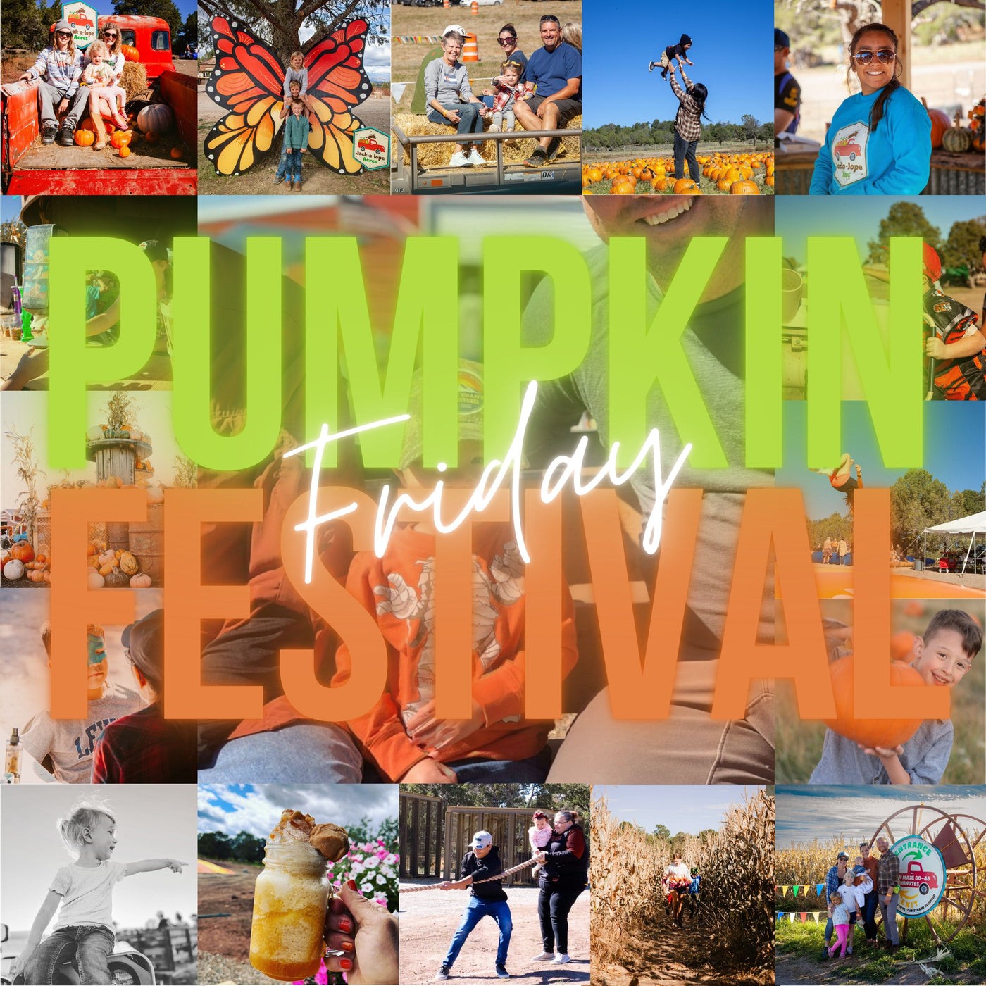 Pumpkin Festival - Friday Admission