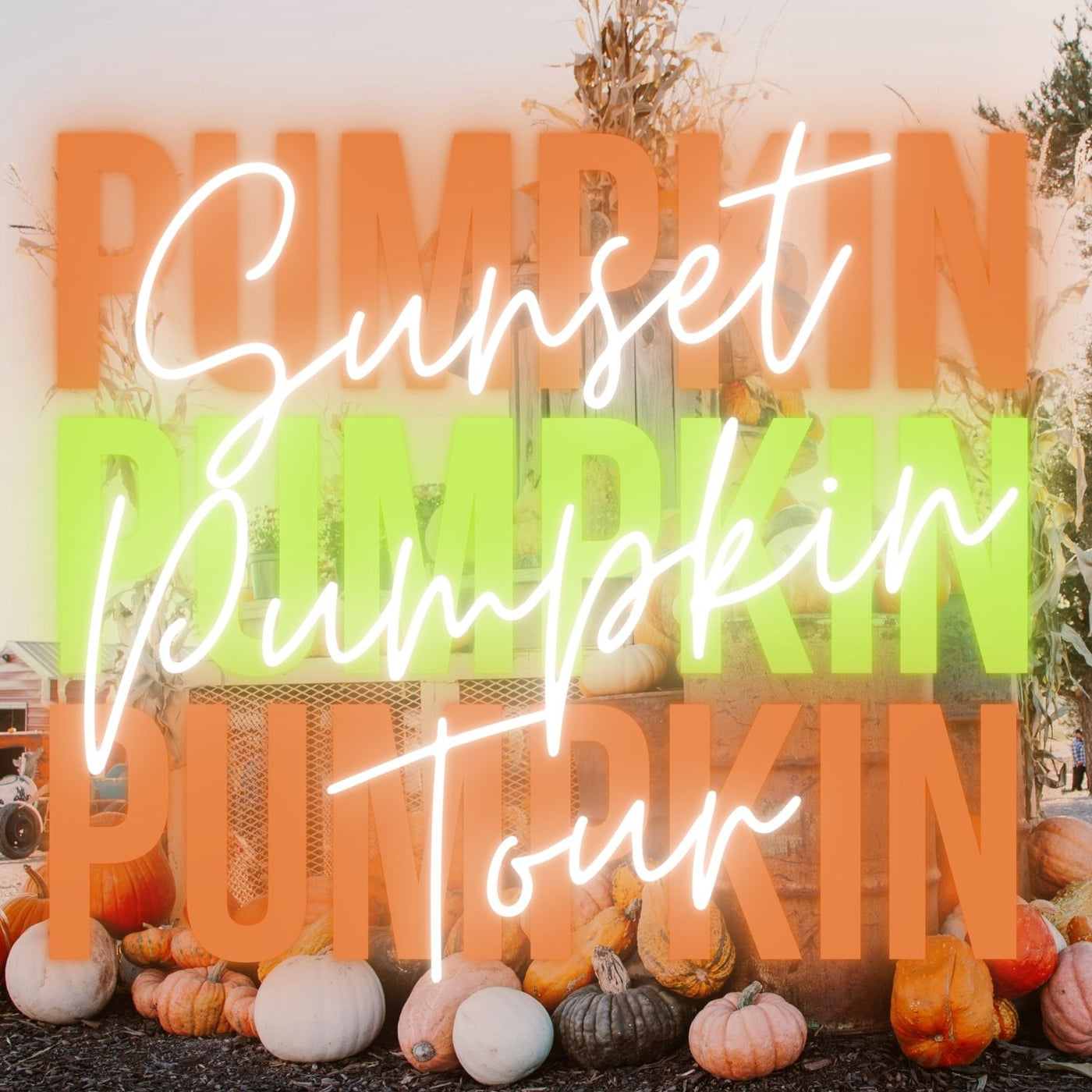 2025 Sunset Pumpkin Tours