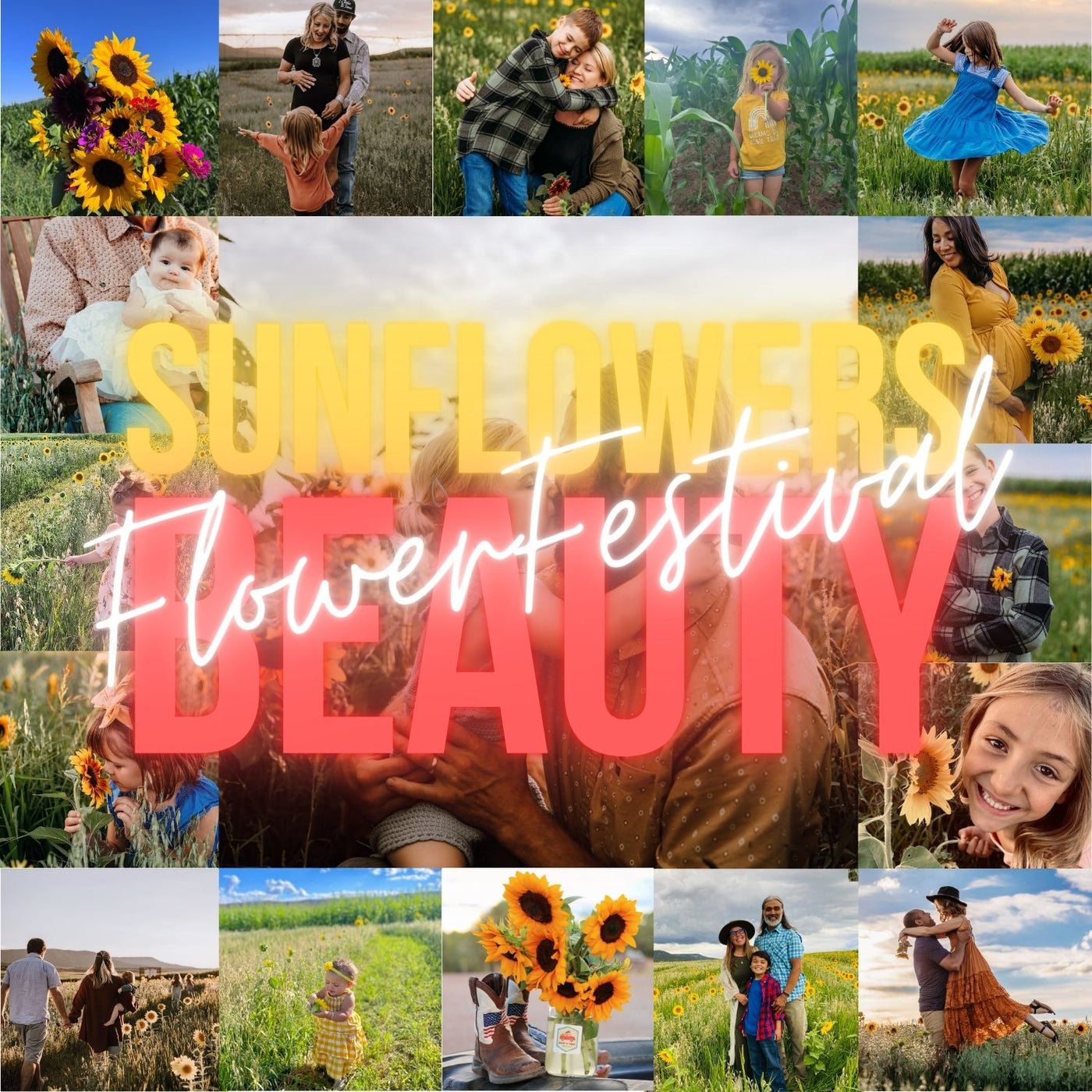 Sunflower Days Pre-sale!