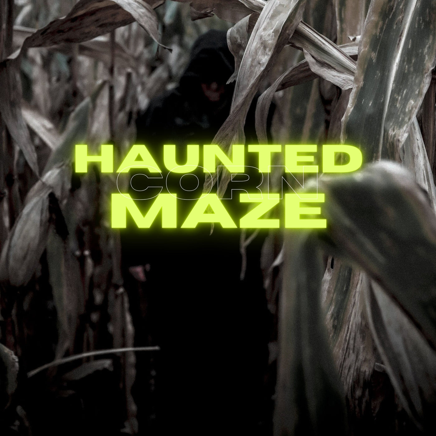 Haunted Corn Maze