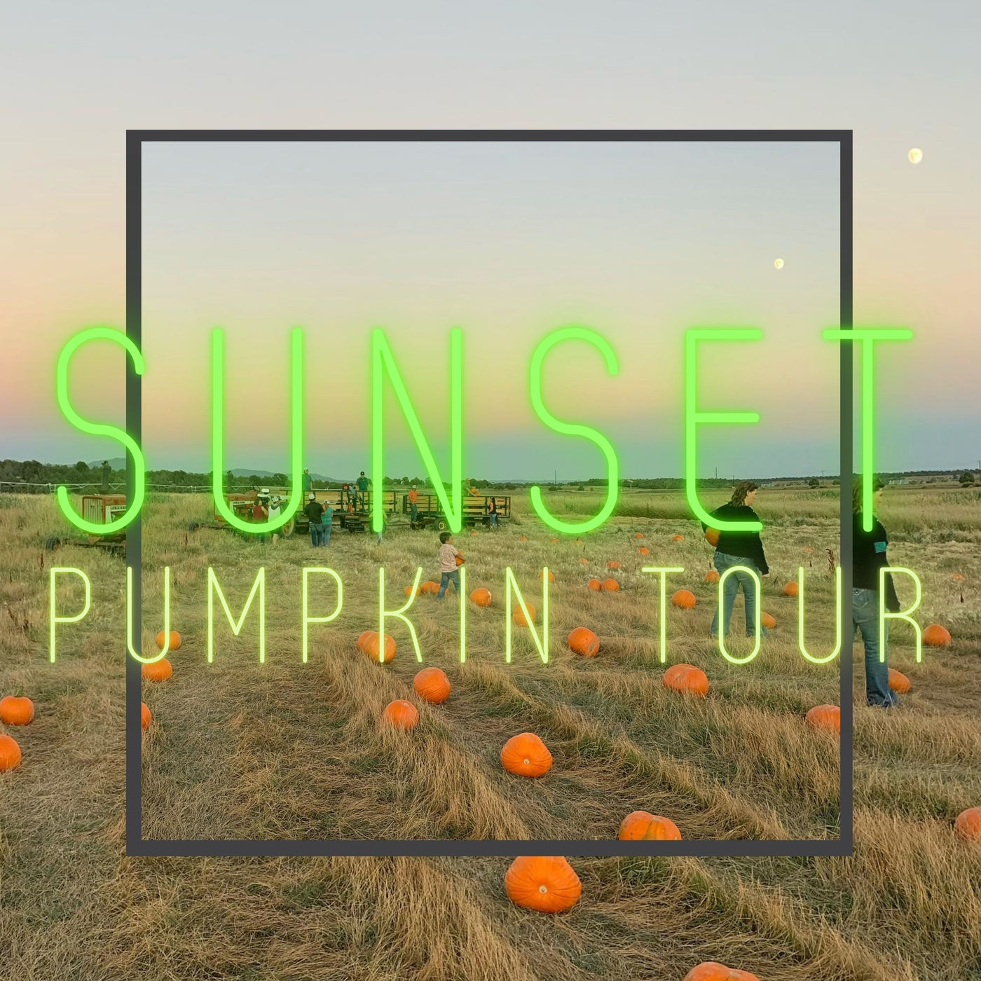 Sunset Pumpkin Tour
